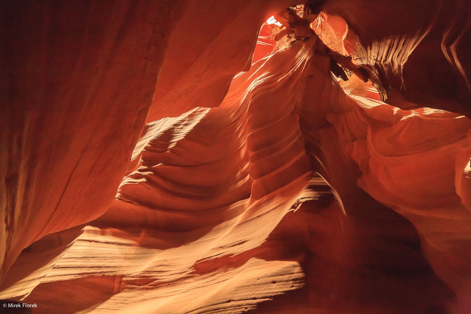 Antelope Canyon - fragment drzewa zaklinowany między skałami